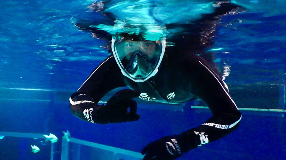 Mergulho no AquaRio: uma experiência inesquecível