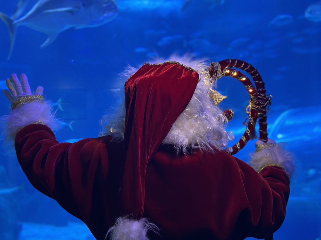 Papai noel no aquario