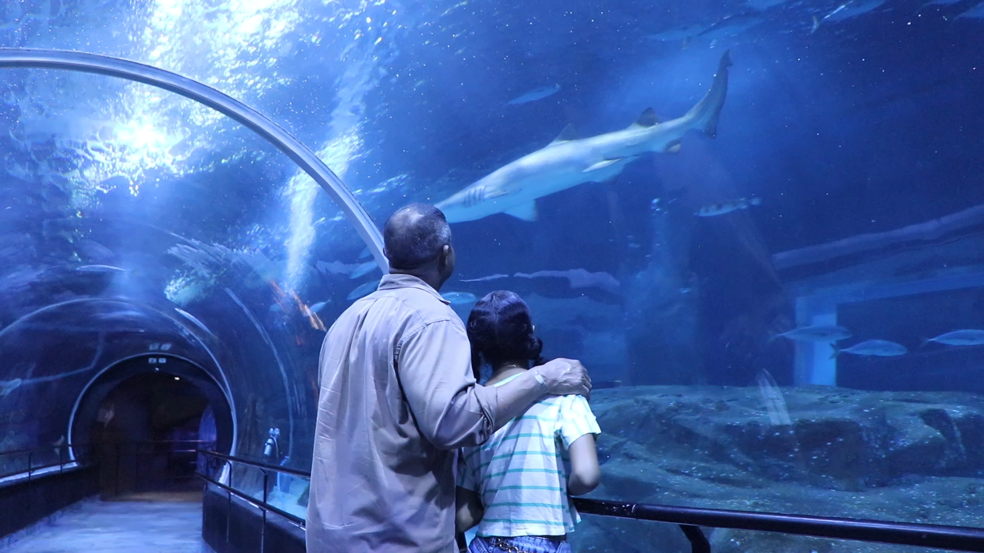 Dia dos Pais no AquaRio