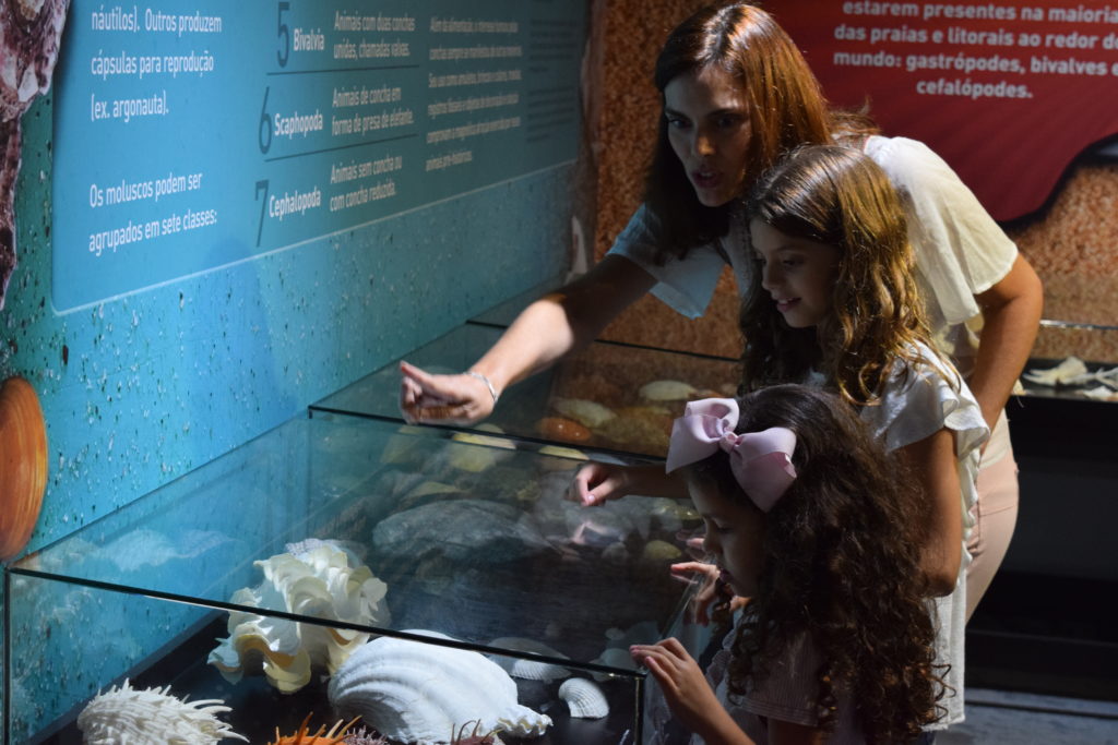 Família observando a exposição de conchas