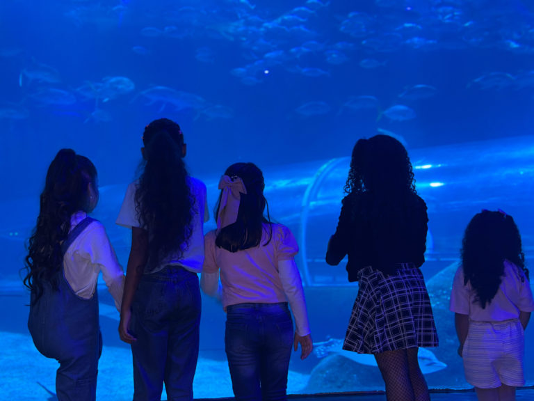 Crianças observando um tanque de peixes