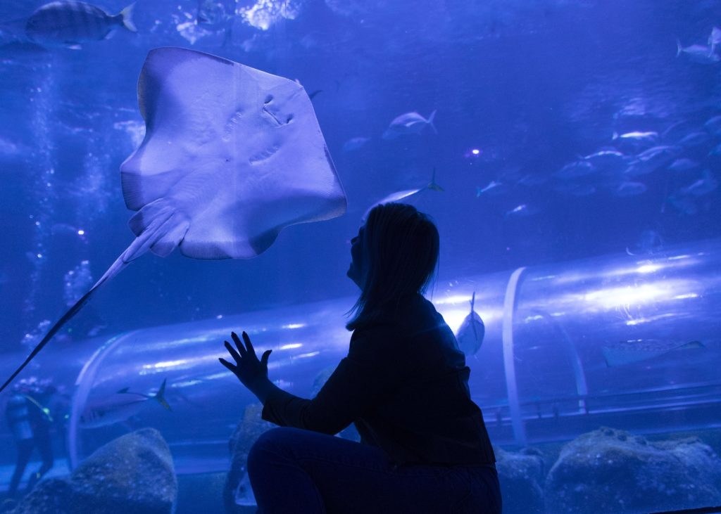 Mulher olhando uma raia passando