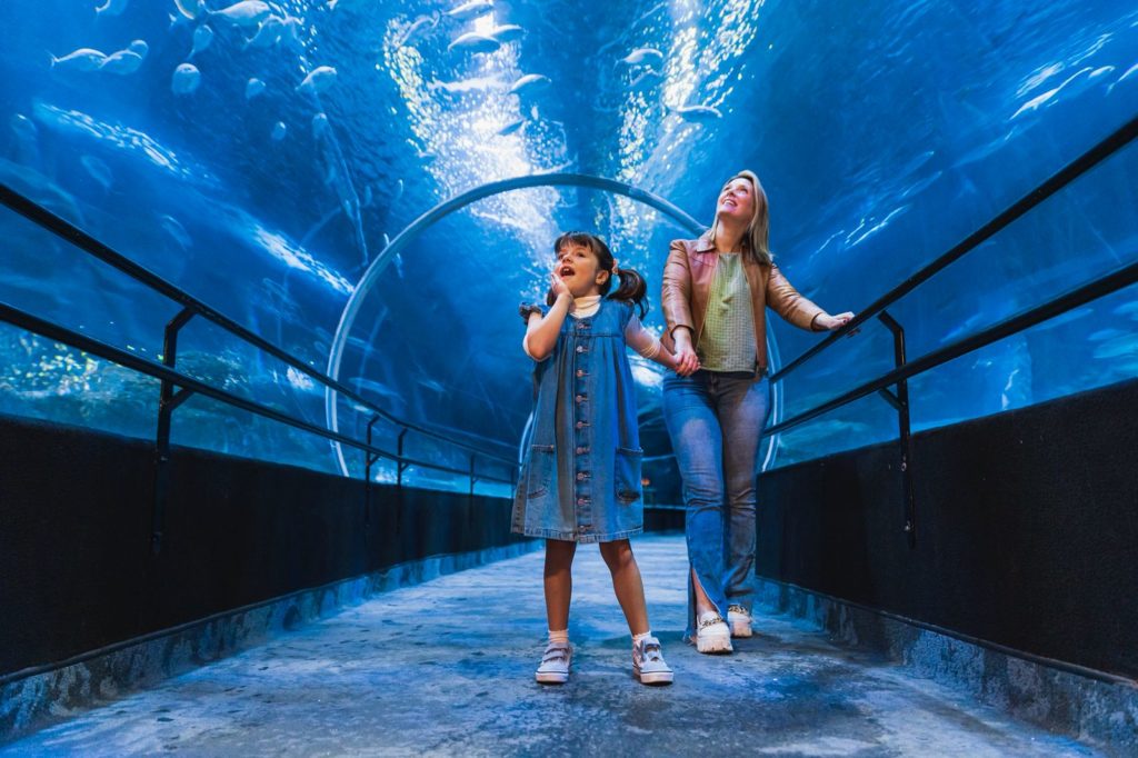 O que fazer no Dia das Mães no Rio de Janeiro: AquaRio tem ingresso promocional para mães cariocas